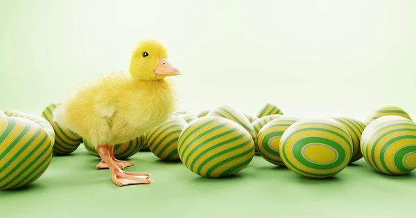 Huevos Pascua Pollo Bebé Sobre Fondo Verde — Foto de Stock