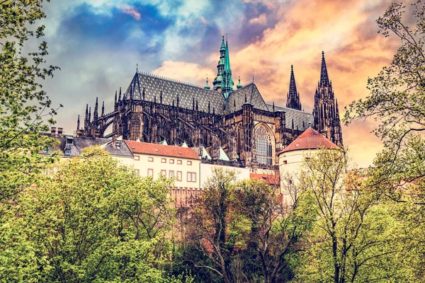 Prags Slott Med Vitus Cathedral Hradcany Tjeckien Vid Solnedgången — Stockfoto
