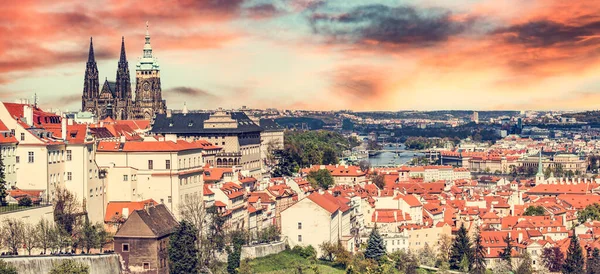 Hradcany Prag Tjeckien Vitus Katedralen Vid Solnedgången — Stockfoto
