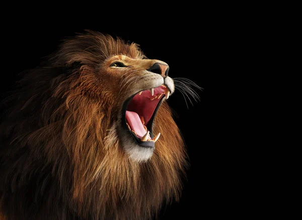 Lion Roaring Portrait Black Illustration — Stock Photo, Image