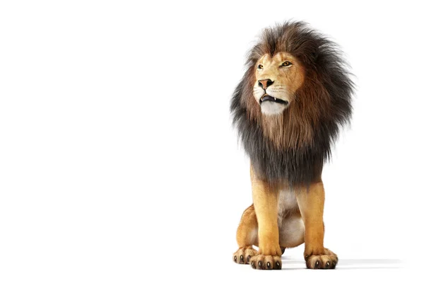 ライオンの肖像画は白で隔離された 3Dイラスト — ストック写真