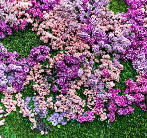 Bloemen Roze Rozen Groene Klaver Muur Achtergrond Bloemenregeling — Stockfoto