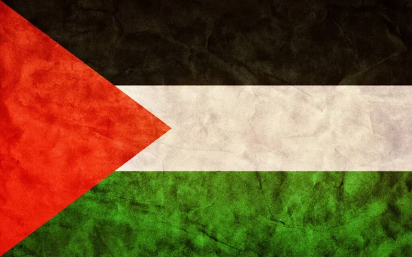 Palestine Flag Grunge Vintage Canvas Palestinian — Foto de Stock