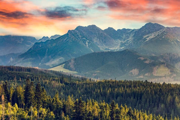 Gün Batımında Tatra Dağları Polonya Daki Orman Vadisi Manzarasıyla Birlikte — Stok fotoğraf