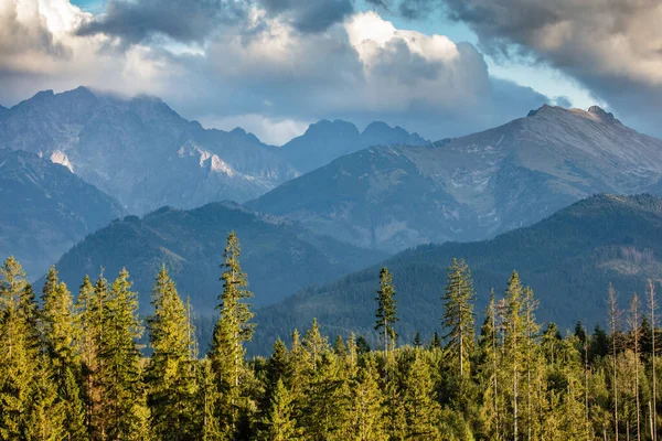 Montagne Tatra Tramonto Con Paesaggio Foresta Valle Polonia Vista Maestosa — Foto Stock