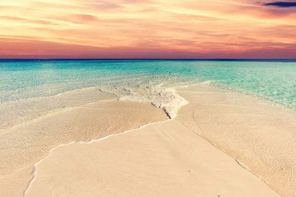 Tropisch Strand Bij Zonsondergang Maldive — Stockfoto