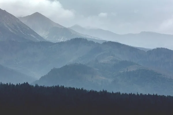 Hauts Sommets Montagne Dans Les Nuages Brouillard Montagnes Tatra Pologne — Photo