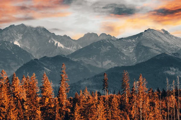 Tatra Gebirge Bei Sonnenuntergang Mit Waldtallandschaft Herbst Polen Majestätische Aussicht — Stockfoto