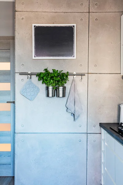 Herbs Pots Kitchen Hanger Rack Concrete Wall Interior Design — Fotografia de Stock