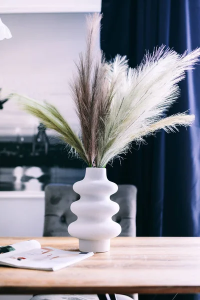 Green Plants Pot Real Estate Rent Home Staging — Zdjęcie stockowe