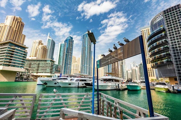 アラブ首長国連邦のドバイマリーナスカイライン 高層住宅 ビジネス高層ビル — ストック写真