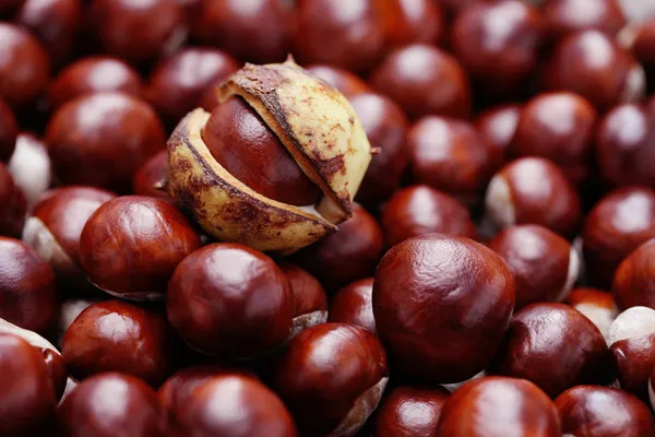 Castanhas — Fotografia de Stock