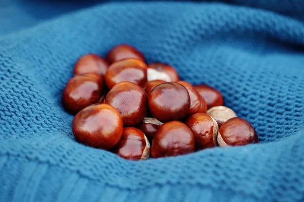 Sweater with chestnuts — Stock Photo, Image