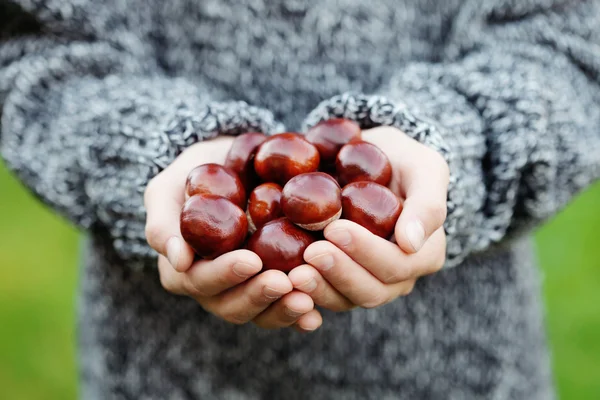 Kleine Hände mit Kastanien — Stockfoto