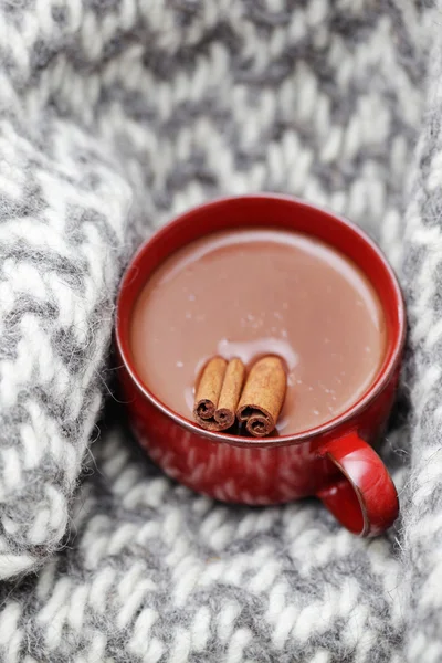 Chocolate caliente con canela — Foto de Stock