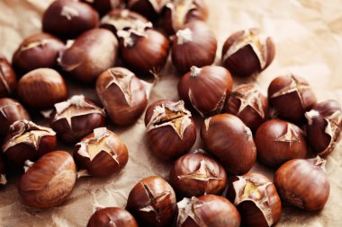 edible chestnuts clipart