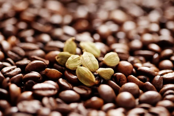 Кофейные зерна с кардамоном — стоковое фото