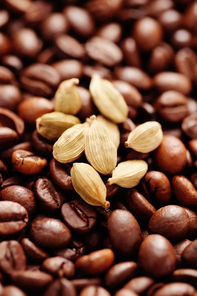 Koffie bonen met kardemom — Stockfoto