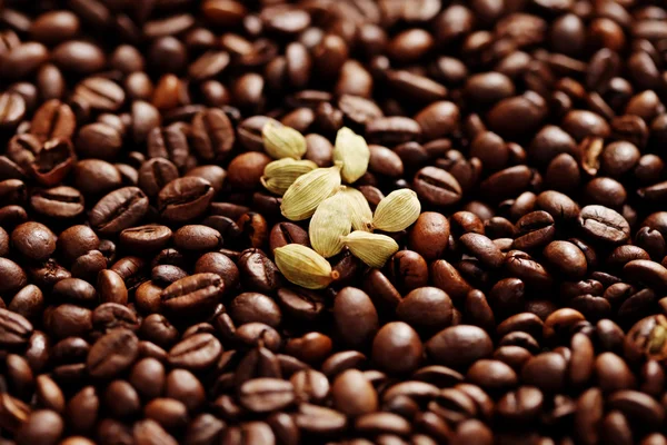 Coffee beans with cardamom — Stock Photo, Image