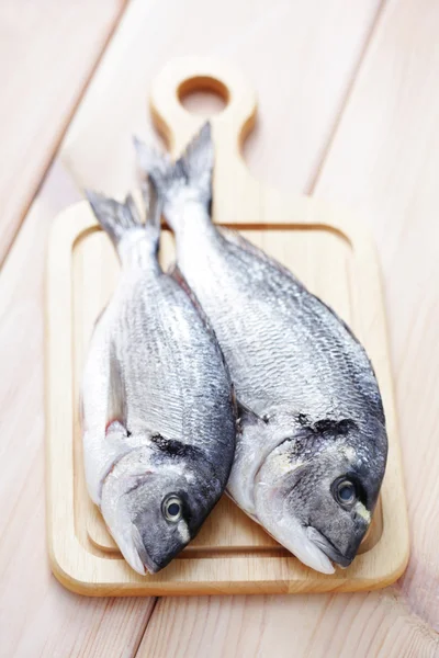 Dorada fish — Stock Photo, Image