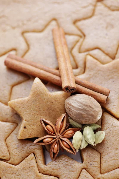 Kerstmis bakken — Stockfoto