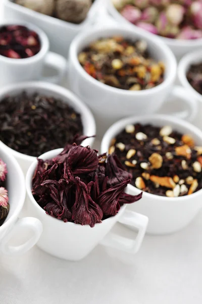 Various tea — Stock Photo, Image