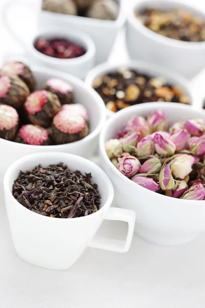 Various tea — Stock Photo, Image