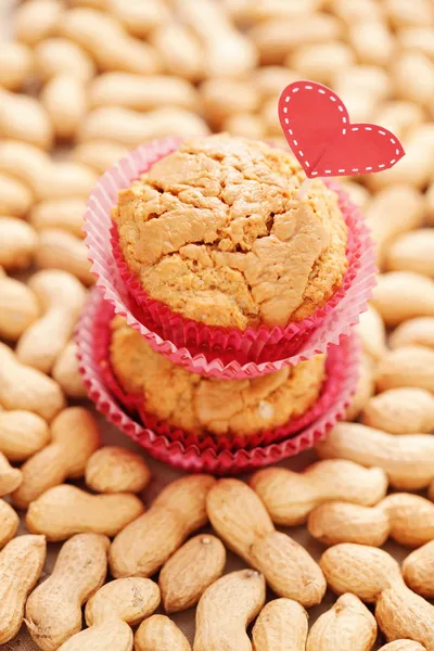 Peanut muffins — Stock Photo, Image