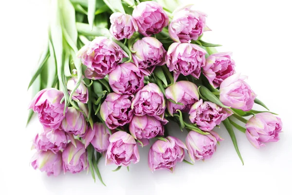 Krásné růžové — Stock fotografie