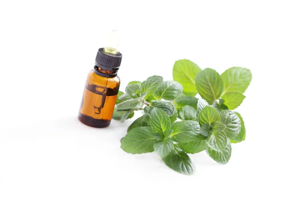 Mint essential oil — Stock Photo, Image