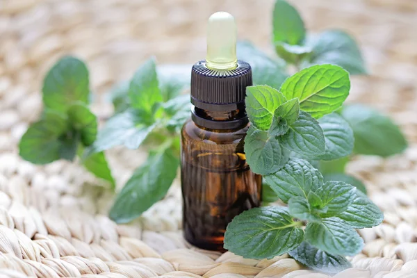 Mint essential oil — Stock Photo, Image