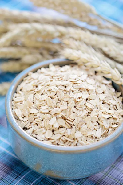 Bowl of oats — Stock Photo, Image