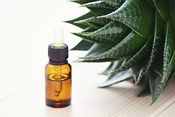 Aloe vera eterisk olja — Stockfoto