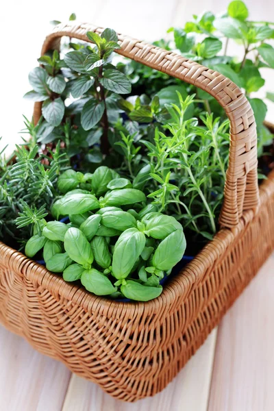 Basket of herbs — Stock Photo, Image