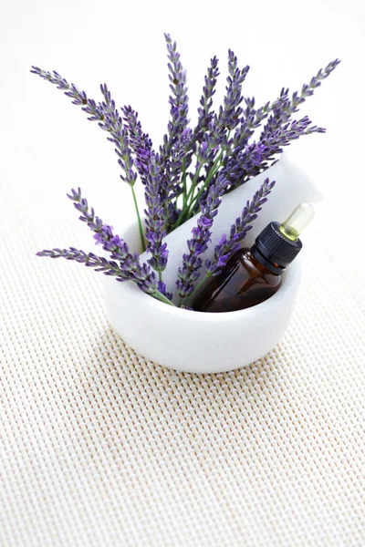 Lavender and mortar and pestle — Stock Photo, Image