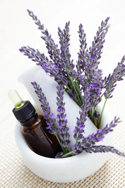 Lavender and mortar and pestle — Stock Photo, Image