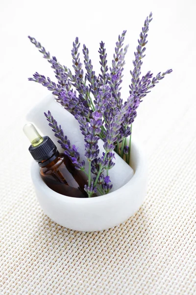 Lavender and mortar and pestle — Stock Photo, Image