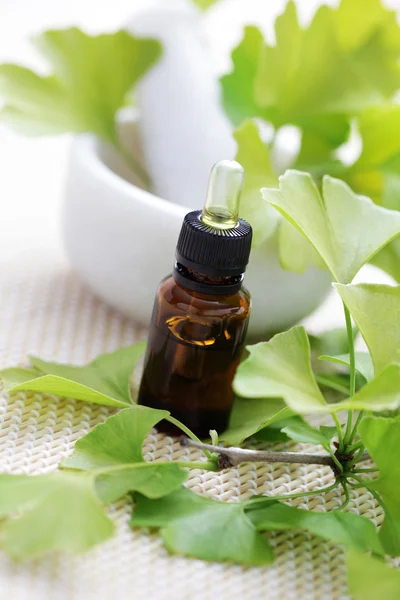 Ginkgo biloba essential oil — Stock Photo, Image