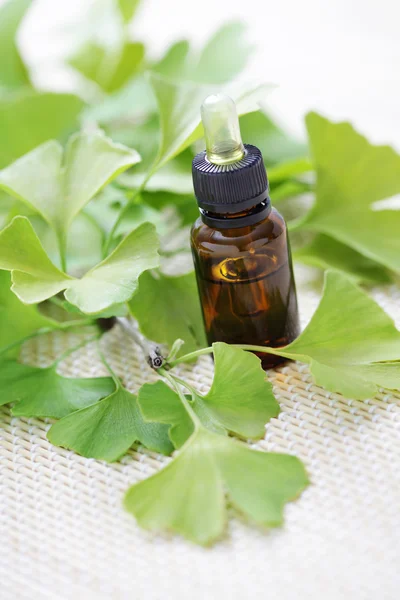 Ätherisches Öl von Ginkgo biloba — Stockfoto