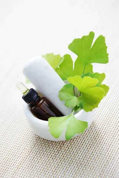 Ätherisches Öl von Ginkgo biloba — Stockfoto