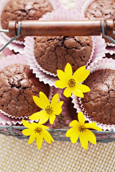 Brownie Muffin — Stock Fotó