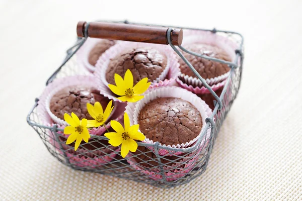 Brownie-Muffins — Stockfoto