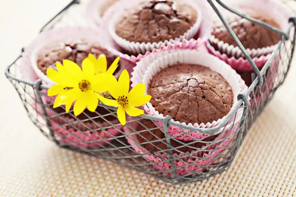 Brownie muffins — Stock Photo, Image