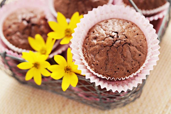 Bolinhos de chocolate — Fotografia de Stock