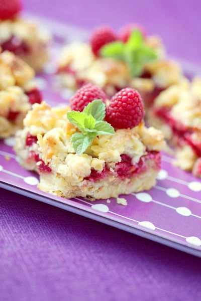 Raspberry cake — Stock Photo, Image