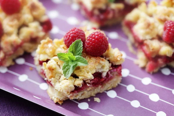 Raspberry cake — Stock Photo, Image