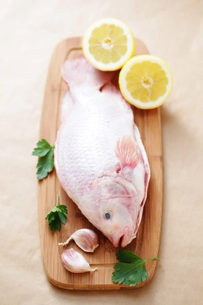 Kırmızı tilapia — Stok fotoğraf