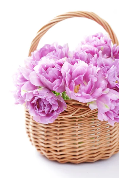 Härlig rosa tulpaner — Stockfoto