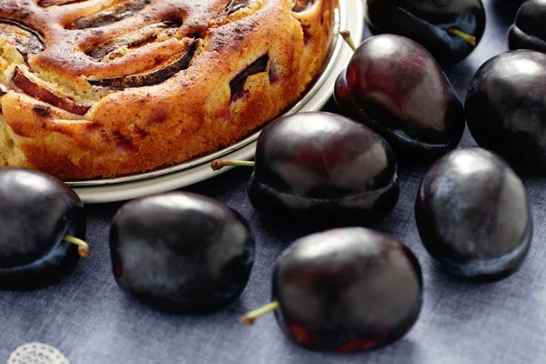 Torta de ameixa — Fotografia de Stock