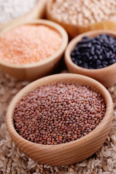 Different type of pulses — Stock Photo, Image